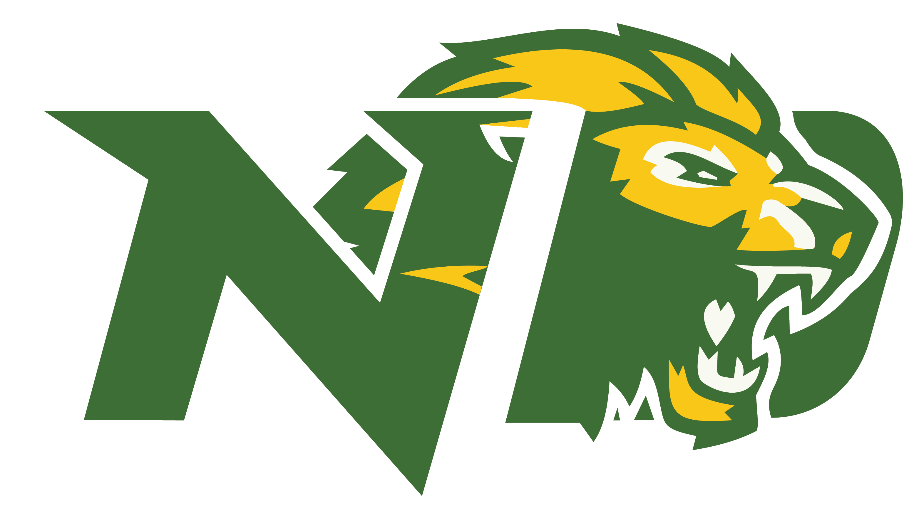 District Logo